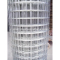 High quality stainless steel welded wire mesh in China factory